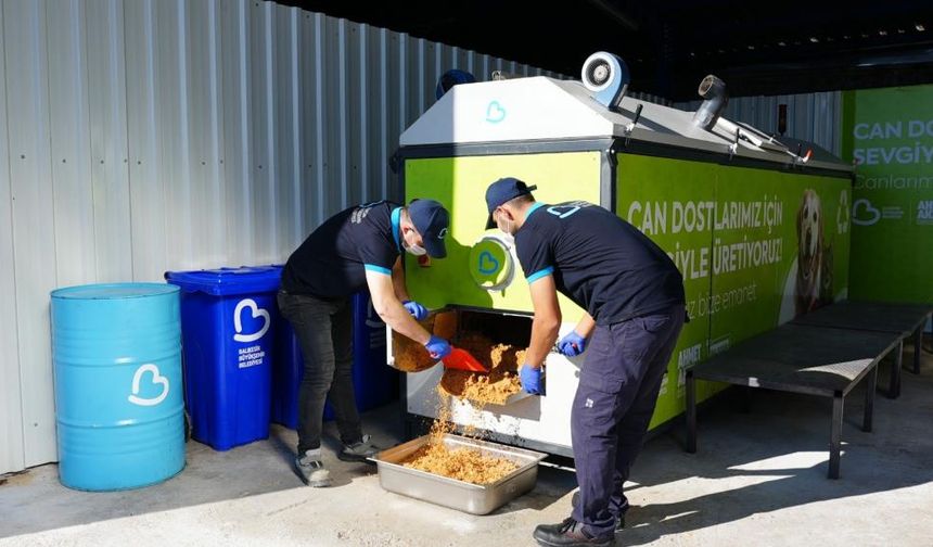 Büyükşehir, can dostların mamasını kendi üretiyor