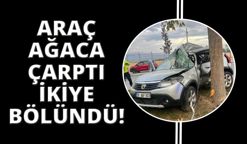 Ağaca çarpıp ikiye bölünen otomobildeki kadın hayatını kaybetti
