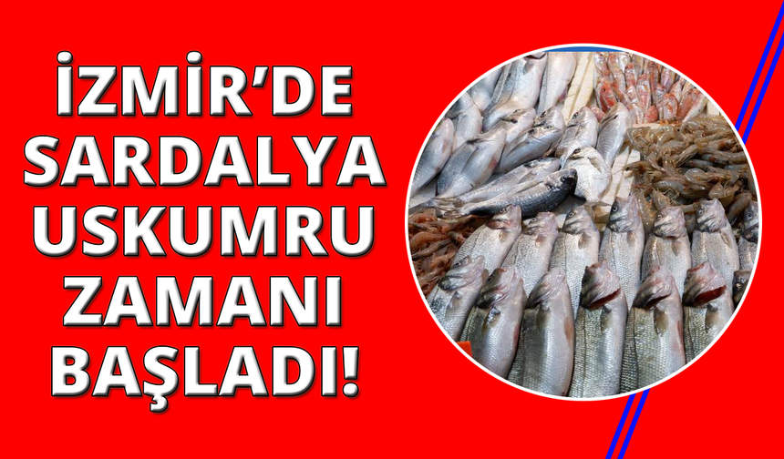 Foça Balık Hali'nde kış sezonu:"Sardalya ve uskumru zamanı"