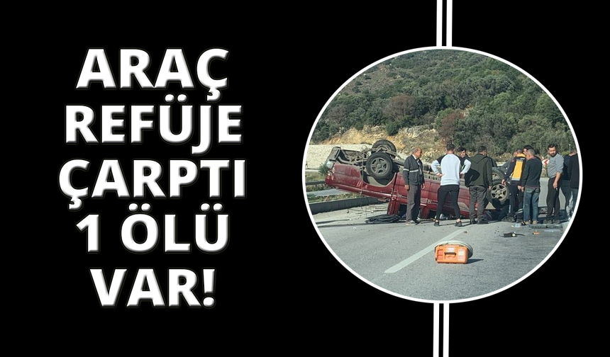 Kamyonet sürücüsü hayatını kaybetti