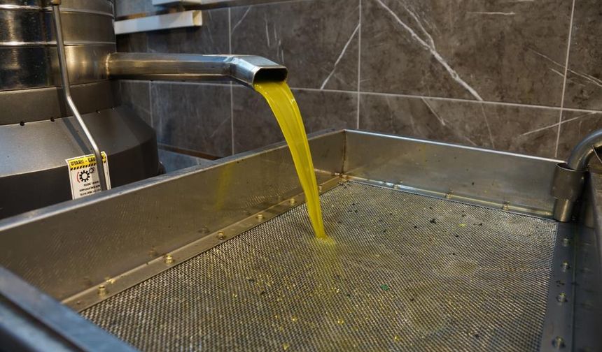 Zeytinyağı fiyatları belli oldu, fiyatlarda artış yaşandı