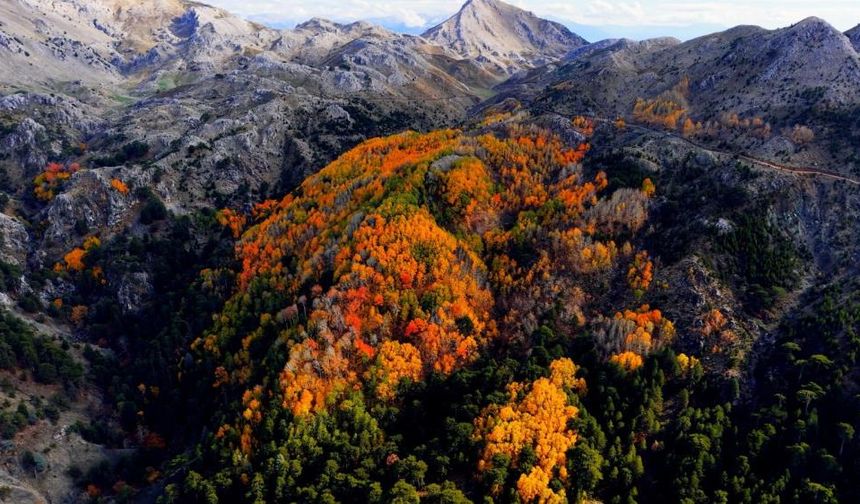 Çameli'de kartpostallık manzara: