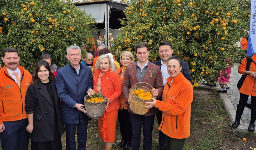 Mandalin Festivali’ne yoğun ilgi