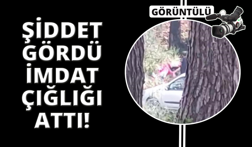 İzmir’de bir kadın ormanlık alanda darbedildi