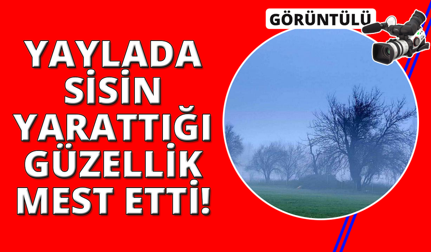 Menteşe Karabağlar yaylasında kartpostallık sabah