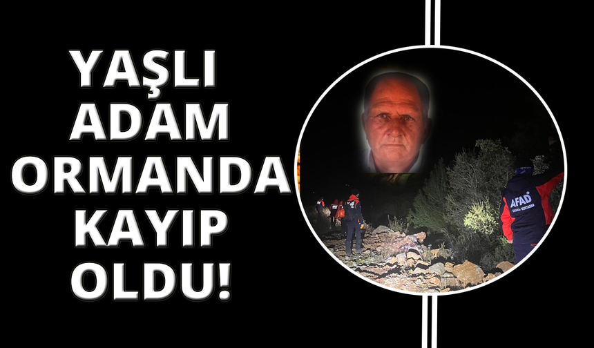 Mantar ararken kaybolan 70 yaşındaki adamı arama çalışmaları sürüyor
