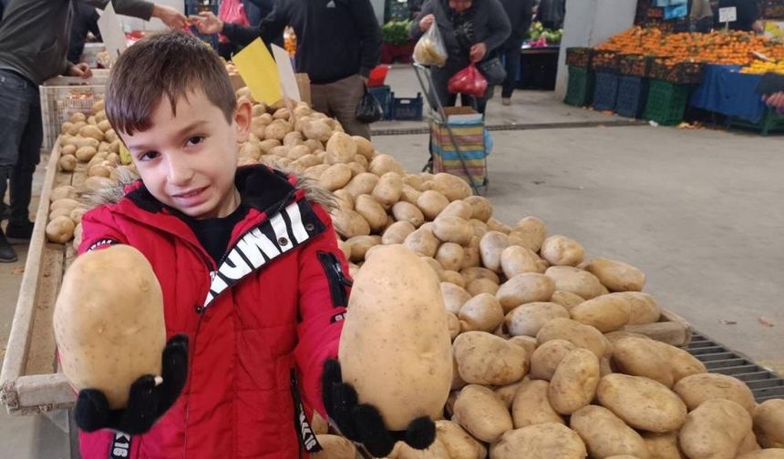 Sarıgöl pazarında dev patatesler ilgi odağı oldu