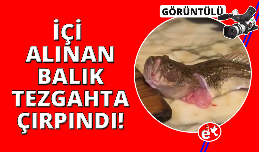 İçi temizlenen balık dakikalarca çırpınmaya devam etti