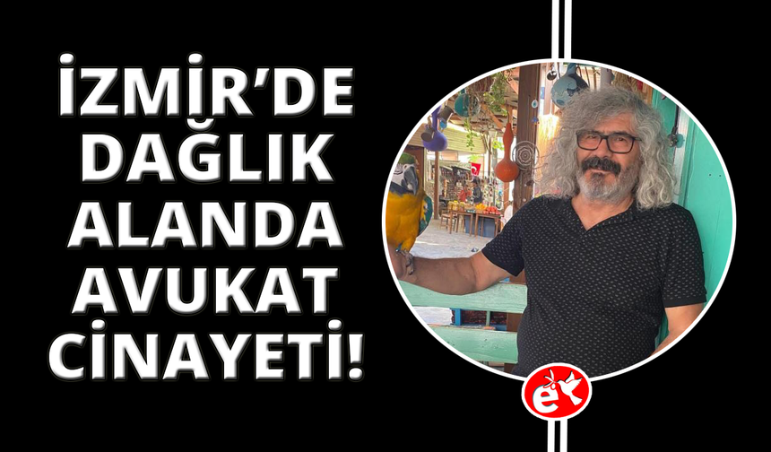 Eski İHD İzmir Başkanı dağlık alanda ölü bulundu