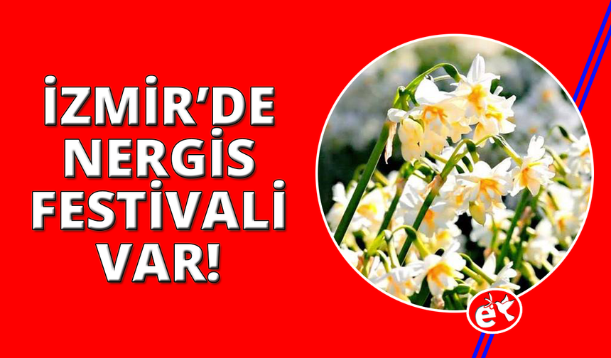 İZDENİZ'den Nergis Festivali'ne özel seferler