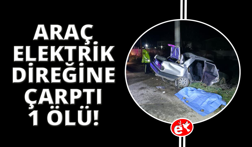 Manisa'da otomobil elektrik direğine çarptı
