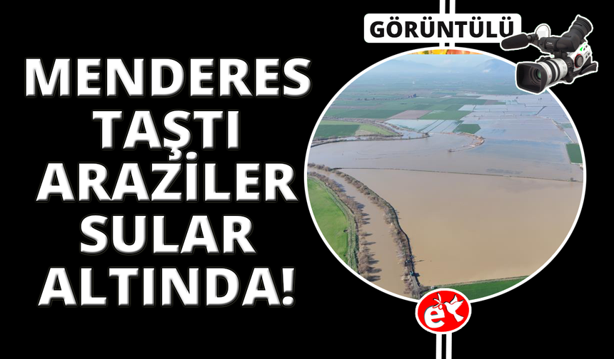 Menderes taştı, yüzlerce dönüm sular altında kaldı