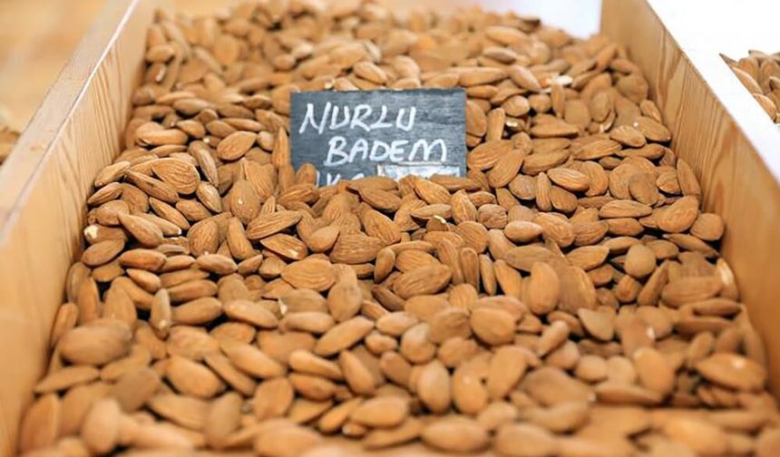 Datça Nurlu Bademi için Muğla Büyükşehir Belediyesi tesis kuruyor