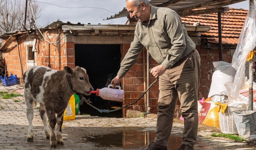 Köylüye can suyu: Destek 1,4 milyara çıktı