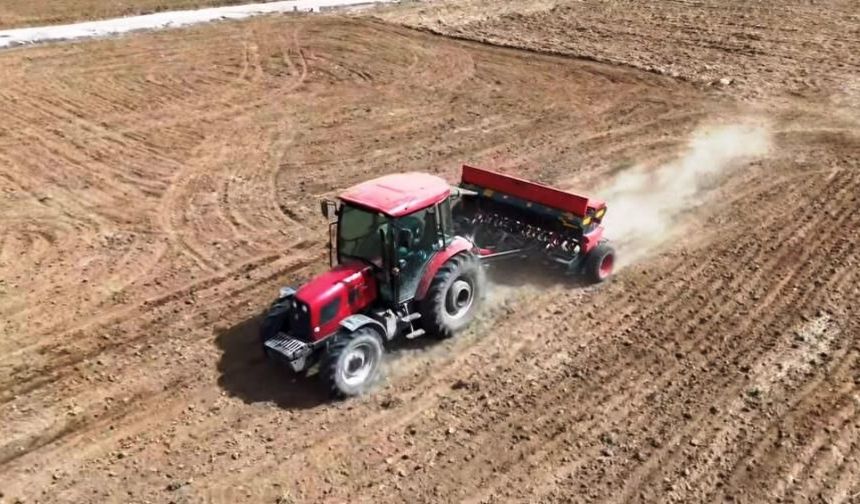 Kütahya'da çörek otu üretimi gelişiyor