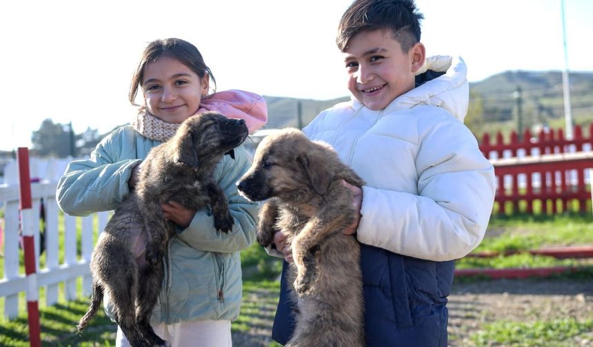 Doğa ve patili dostlar şifa dağıtıyor