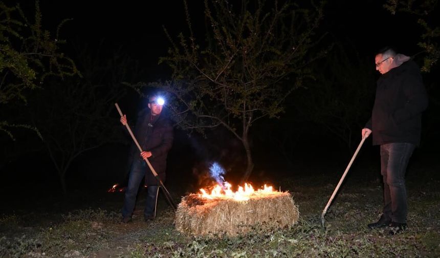 Manisa'da zirai don nöbeti