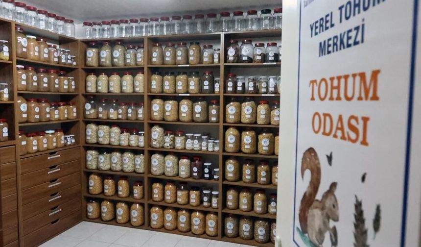 3 milyon yerel tohum dağıtıldı