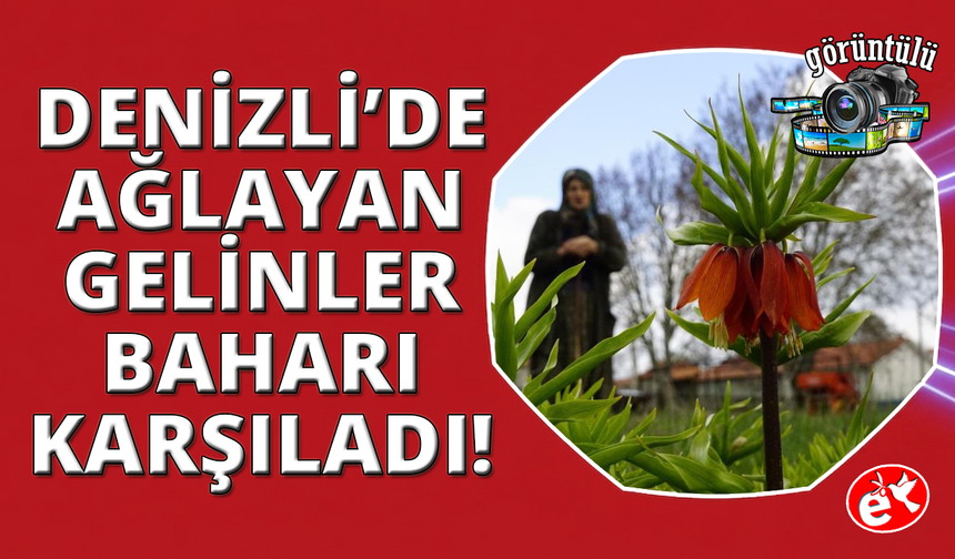 Bu çiçeği koparmanın cezası bir araba parası