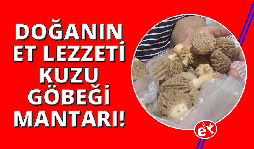 Doğadan gelen et lezzeti: "Kuzugöbeği"