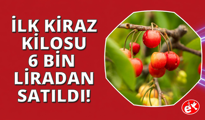 Kuzey yarımkürenin ilk kirazı rekor fiyatla satıldı