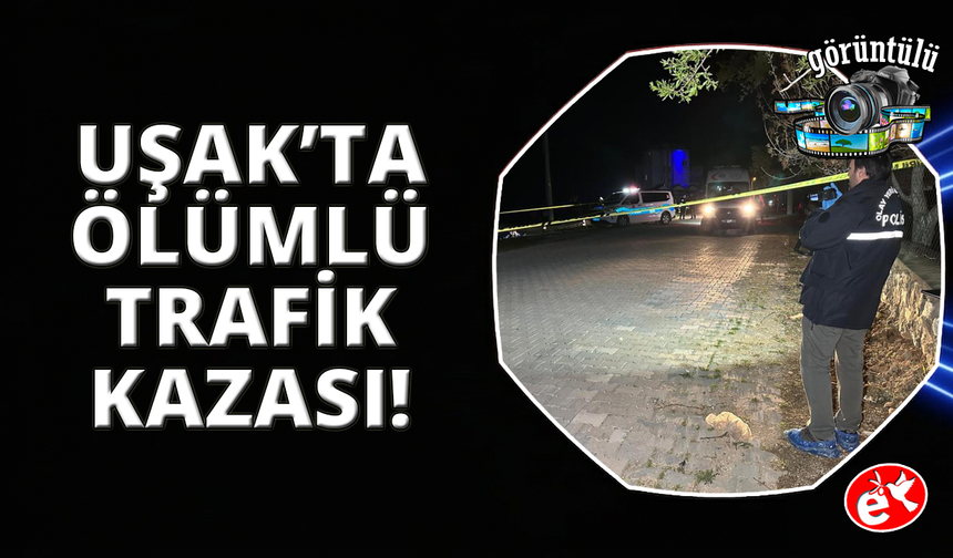 Uşak'ta motosiklet araziye devrildi: 1 ölü