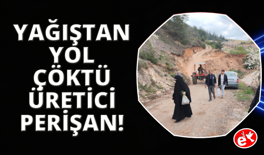 Yol çöktü, mahalleli 3 aydır tarlasına yürüyerek gidiyor