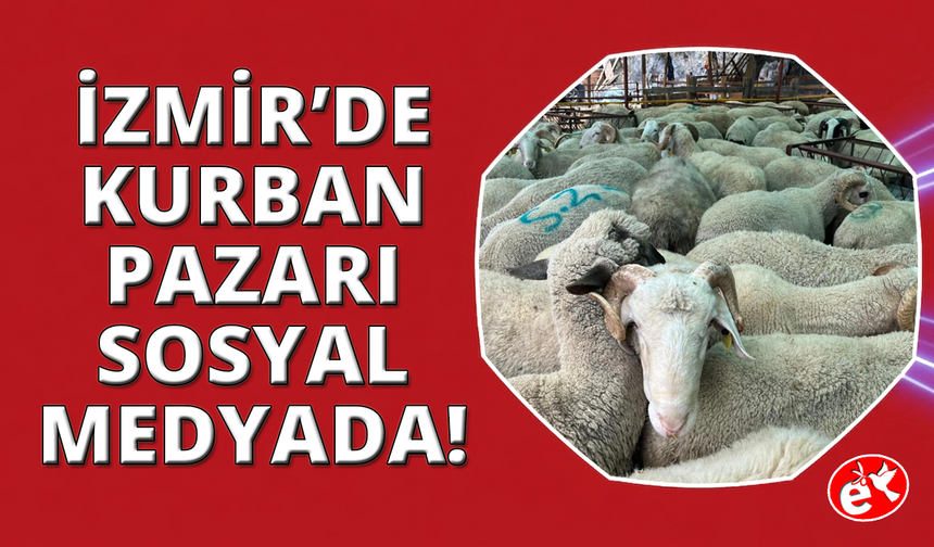İzmir kurban pazarlarında sosyal medya rüzgarı