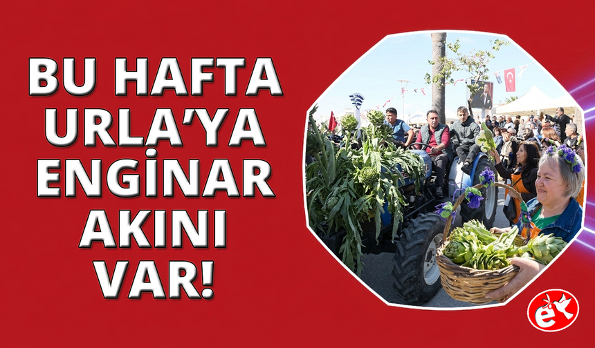 Urla'da Enginar Festivali başladı