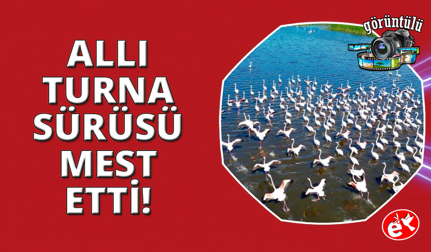 Eber Gölü'ndeki allı turnalar mest etti