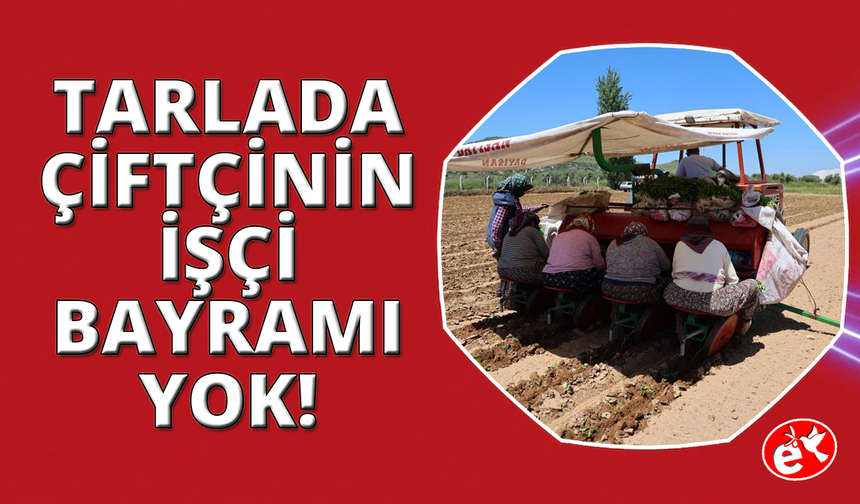 1 Mayıs Onlar İçin Sadece Bir Takvim Yaprağı