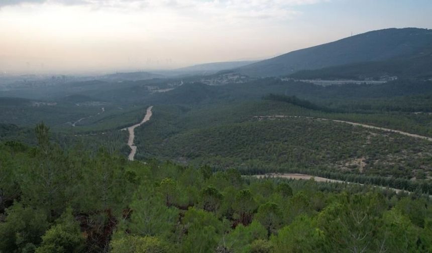 İzmir'de ormanlara giriş yasağı başladı