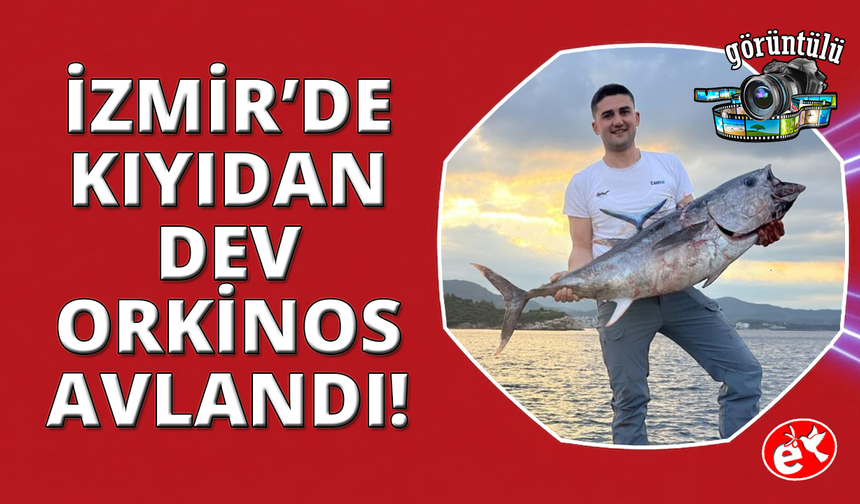 İzmir'de kıyıdan dev orkinos yakaladılar, o anlar kamerada