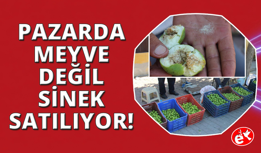 İlek pazarlarında sezon başladı, kilosu 500 TL'ye alıcı buluyor