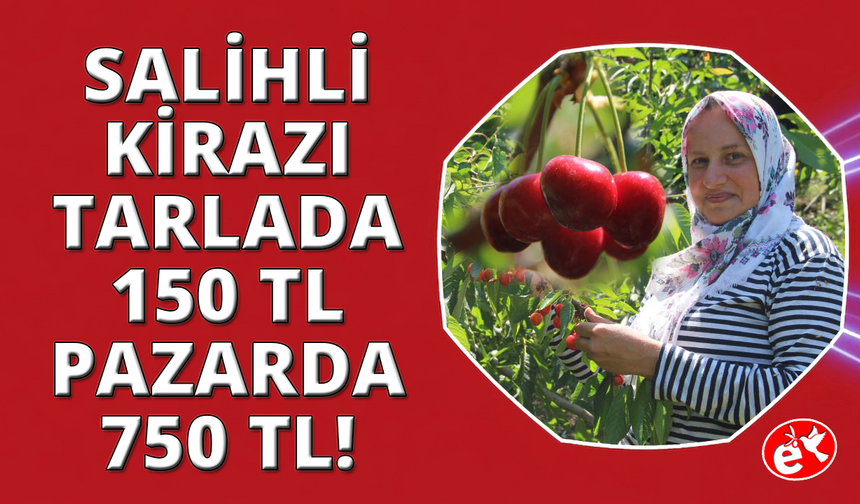 Salihli kirazı dünya sofralarını süslüyor