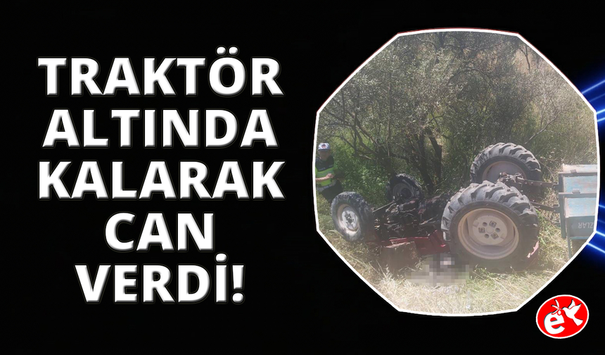 Şarampole düşen traktörünün altında hayatını kaybetti