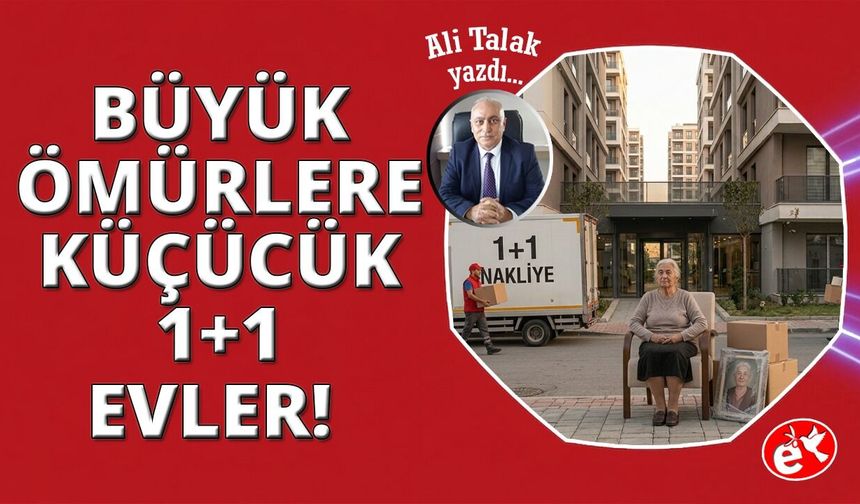 1+1 Evlere Sığan Hayatlar