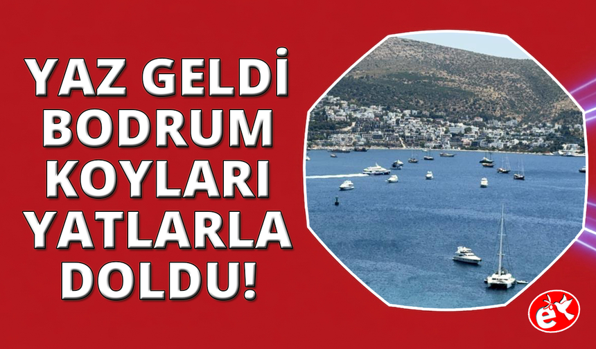 Bodrum koylarında yat kuşatması: Sezon açıldı, denizde yoğunluk başladı