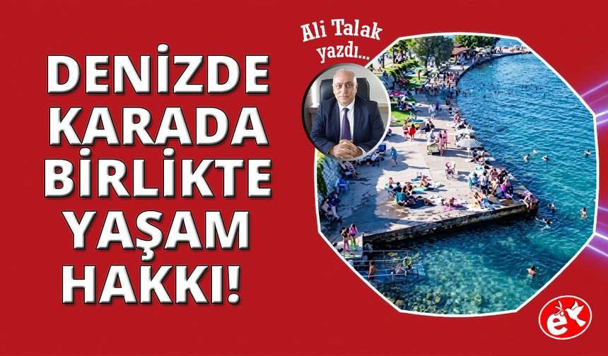 Plajlar Hepimizin: Peki Ya Ortak Yaşam Kültürü?