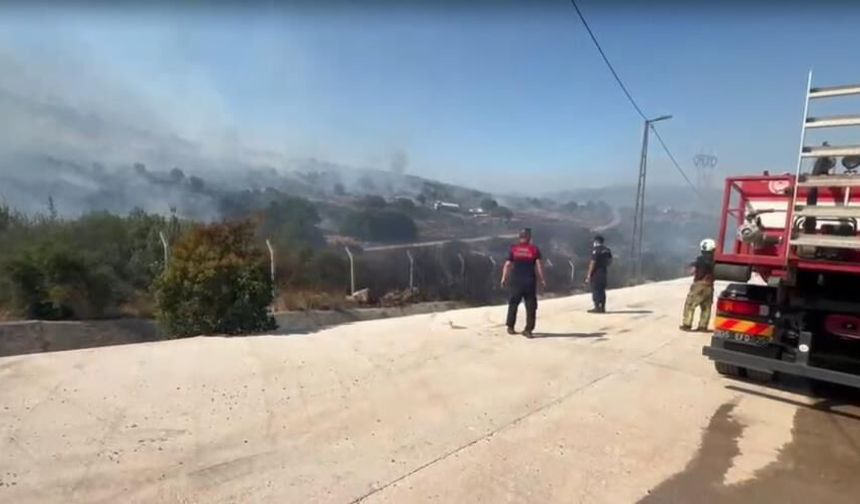 İzmir'de ormanlık alanda yangın, fabrikalar tahliye edildi