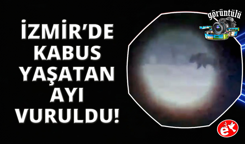 Seferihisar'a kabusu yaşatan ayı vurularak öldürüldü