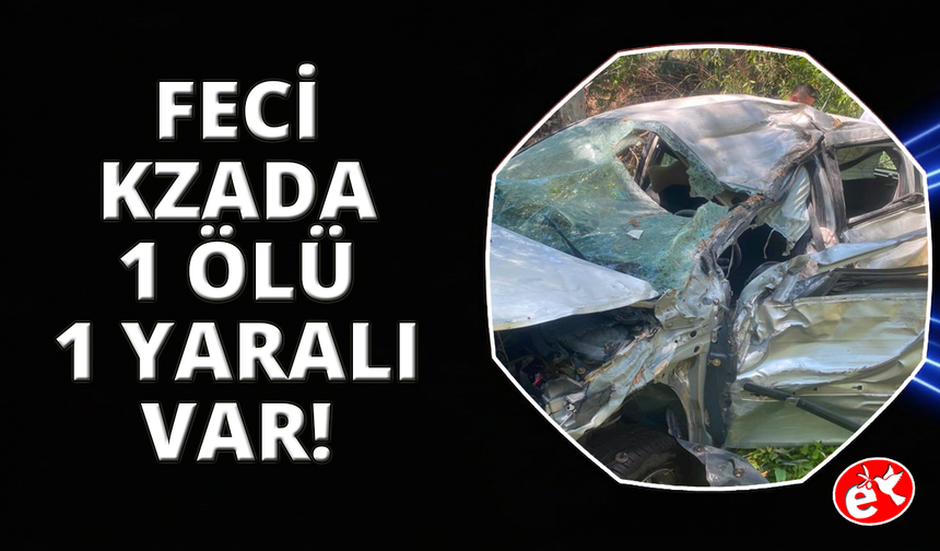 Aydın Germencik’te trafik kazası: 1 ölü, 1 yaralı