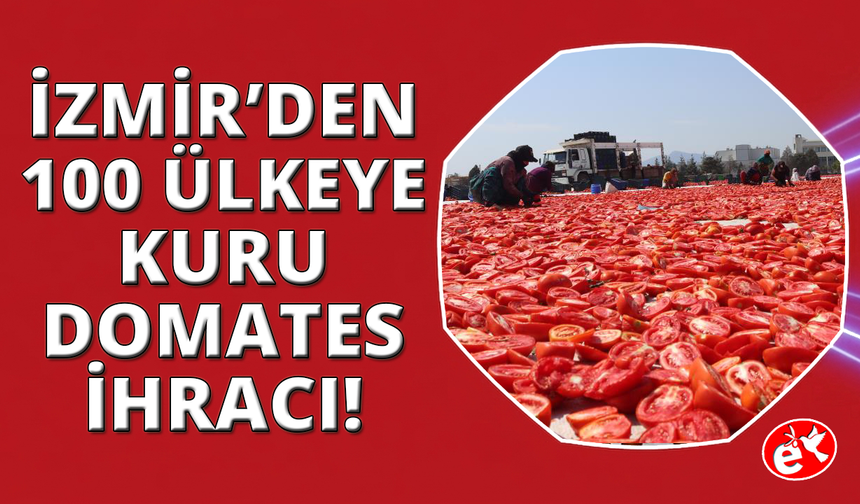İzmir'de kurutulmuş domatesler ovayı kırmızıya boyadı
