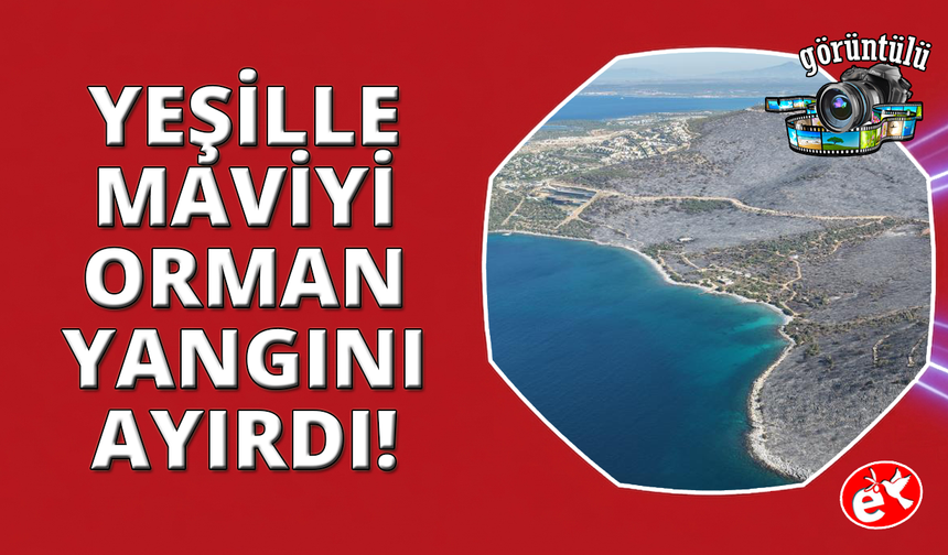 Muğla'da yeşil örtü, karaya döndü