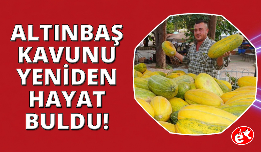 Tavan arasından çıkan tohumlar Altınbaş Kavununu yeniden canlandırdı