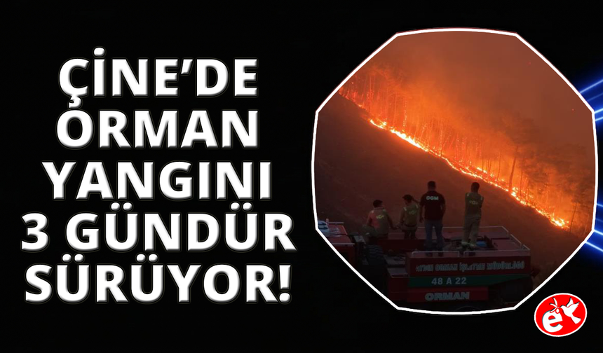 Çine yangınında alevlerle mücadele 3 gündür devam ediyor
