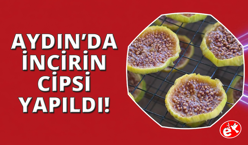 Aydın'dan dünyaya yayılan lezzet: İncir Cipsi