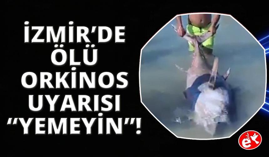 Uzmanlardan ölü orkinos uyarısı: "Sakın yemeyin"