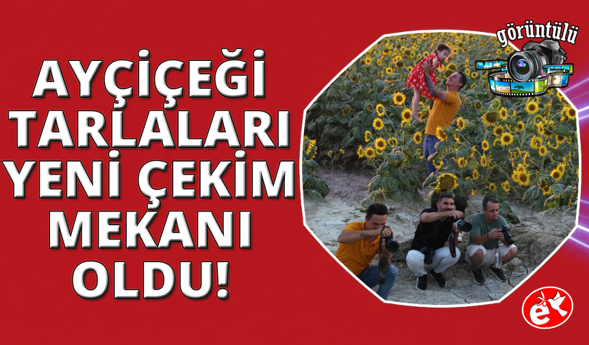 Manisa'da tarlada "açık hava fotoğraf stüdyosu"