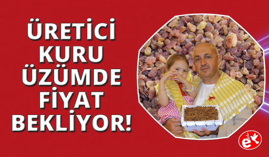 Manisa'da üretici kuru üzüm fiyatını bekliyor